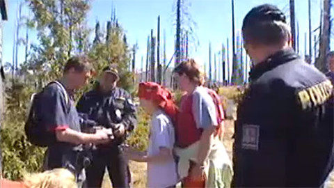 Nedej se! - Šumava – reorganizace