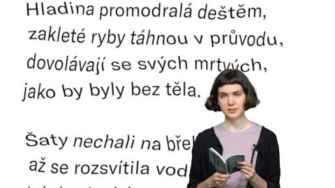 Jedna báseň - Klára Krásenská