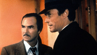 V žáru velkoměsta