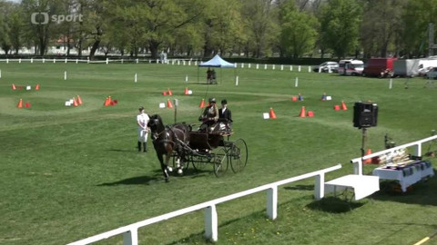 Jezdectví - Mezinárodní závody spřežení CAI Kladruby