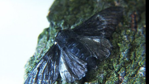 PORT - 1. července 2011