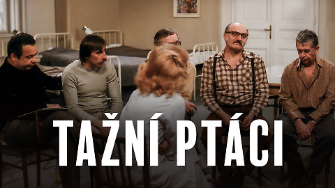 Tažní ptáci
