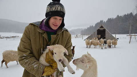Malá farma - Jehně a pes