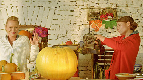 Herbář - Naložíme vám, zavaříme vám