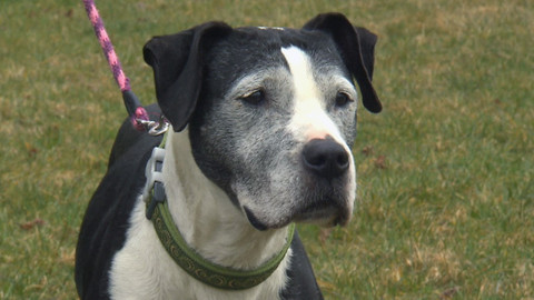 Chcete mě? - Chcete je?