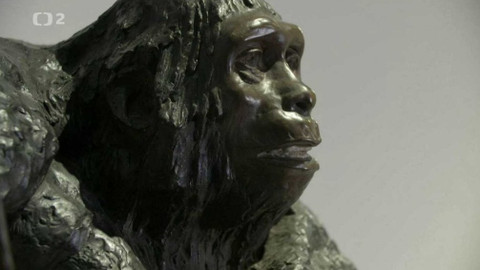 Evropa dnes - Neandertálci - naši vzdálení příbuzní