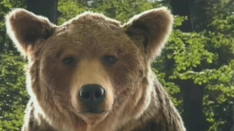 Toulavá kamera - 14. března 2010