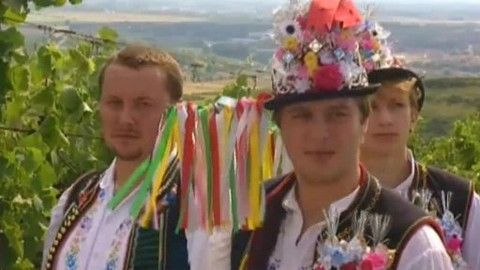 Folklorika - Folklor a dotace