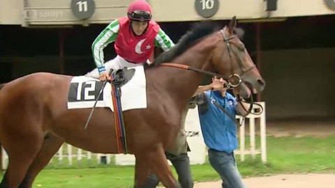 Turf - 18. září 2013