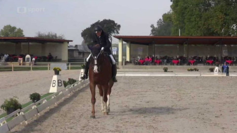 Jezdectví - M ČR v paradrezuře 2015 Hradištko