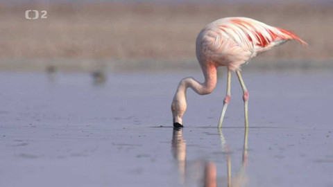 Dobrodružství vědy a techniky - Ze soukromého veřejné - národní park Patagonia
