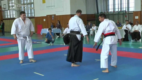 Bojové sporty - 31. března 2017