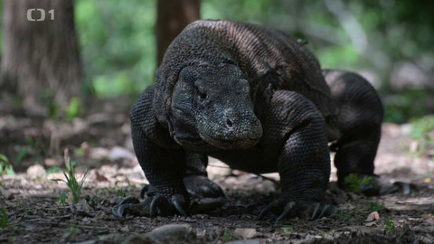 Objektiv - 15. prosince 2024