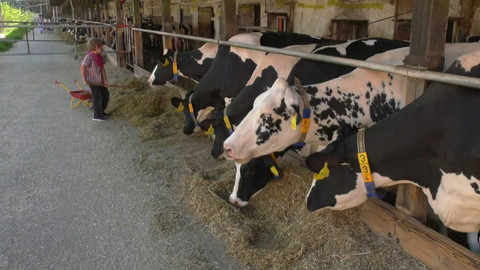 Cyklotoulky - Šternbersko v Olomouckém kraji