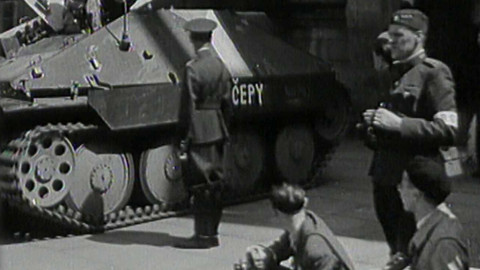 Archiv ČT24 - Pětkové květny