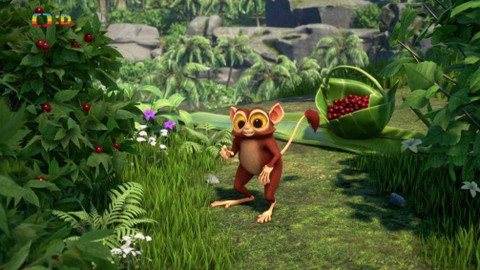 Zafari - 8/13 Dáváš pozor? / Pá, pá ptáčku