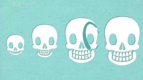 To je něco! - Proč nám vypadávají mléčné zuby?