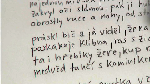 Česko jedna báseň - Věra Jirousová