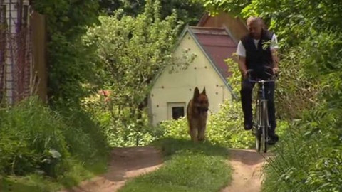 Chcete mě? - 28. června 2015