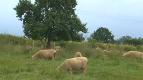 Přidej se - Farmy