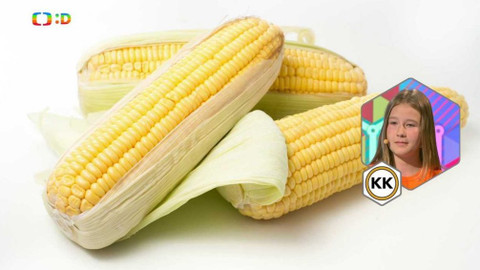 AZ kvíz junior - 12. listopadu 2017