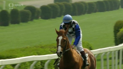 Jezdectví - Gomba handicap Praha