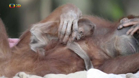 Zprávičky - 29. července 2021