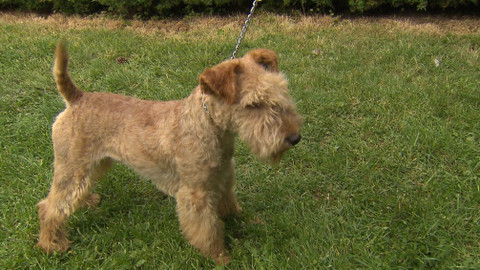 Chcete mě? - 21. října 2018