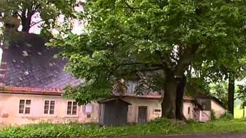 Paměť stromů - 9/15 Stromy osobností