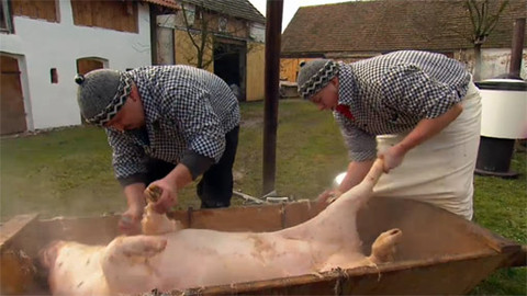 Barvy života - 10. února 2012