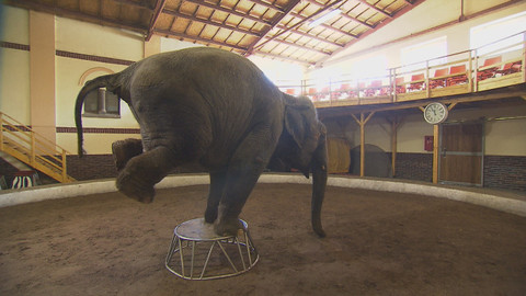 Chcete mě? - 15. května 2016