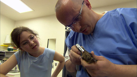 Zoománie - Epizoda 13/17