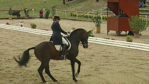 Jezdectví - Světový pohár v jezdecké drezuře