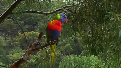 Zeměpis světa - Austrálie (4/5)