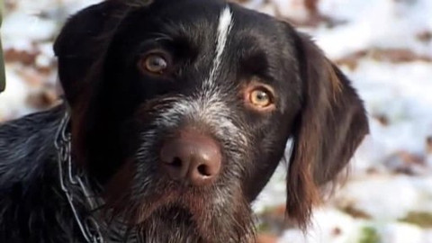 Tisíc let české myslivosti - 25. února 2010