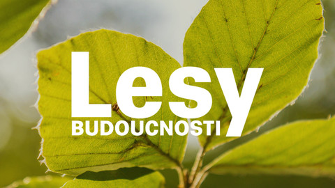 Lesy budoucnosti