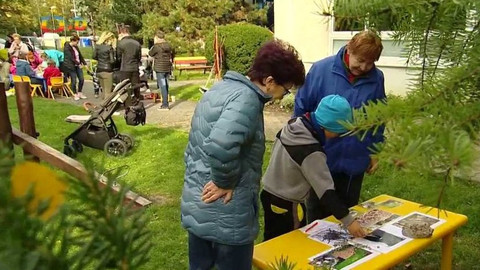 Zprávičky - 13. října 2019