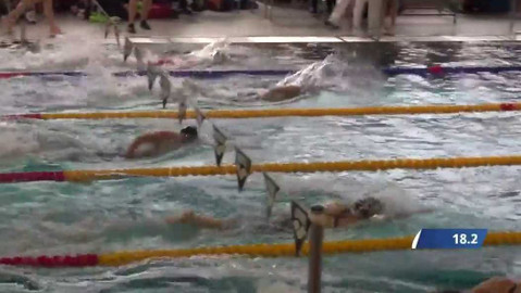 Plavání - Vánoční cena Zlína