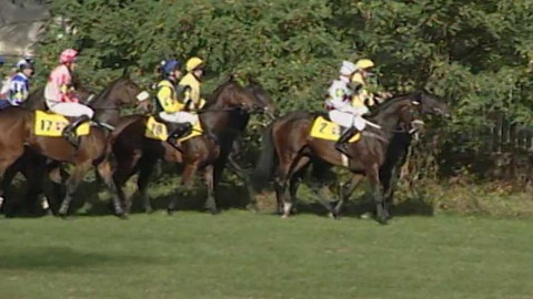 Velká pardubická - historie - 2004