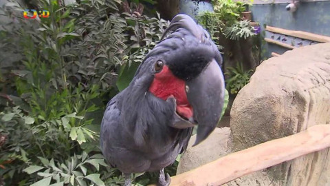 Zprávičky - 26. září 2019