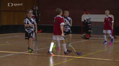 Sport v regionech - Mládežnický florbal na Slavii, Praha