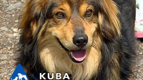 Chcete mě? - Chcete je?