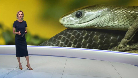 Horizont ČT24 - 29. července