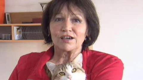 Chcete mě? - Chcete je?