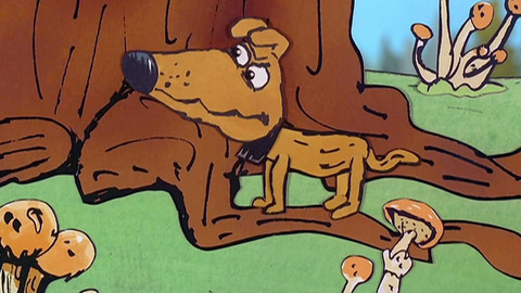 Čaroděj z nafukovacího stromu - 6/13 Dvě kapky jedlové mízy