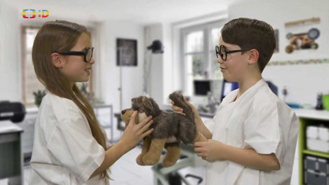 Ty Brďo! - Veterina