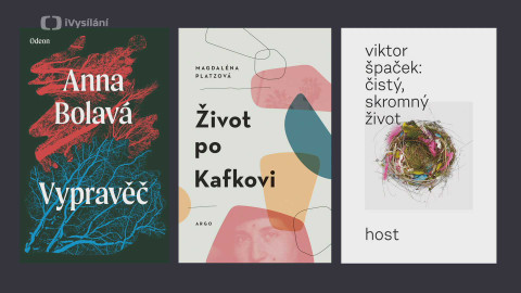 Magnesia Litera - Litera za prózu