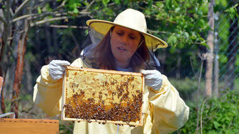 Malá farma - První med