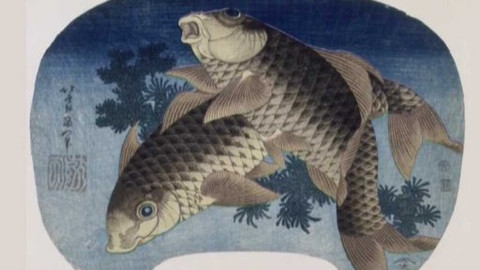 Minuta v muzeu - Obraz Dva kapři