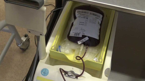 Příběhy moderní medicíny - Tajemství krve